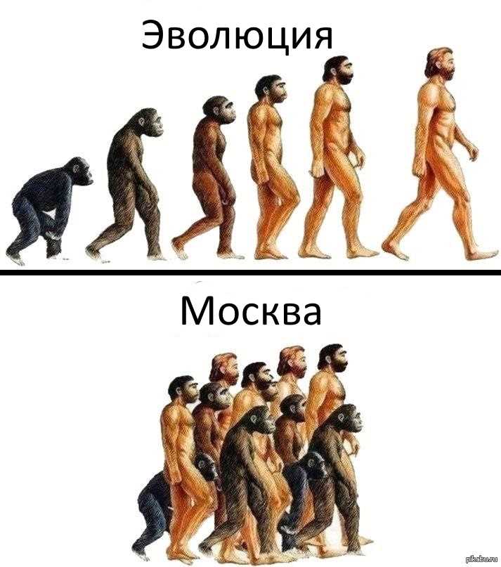 Эволюция алгоритмов Яндекса - от 2007 до 2024 года