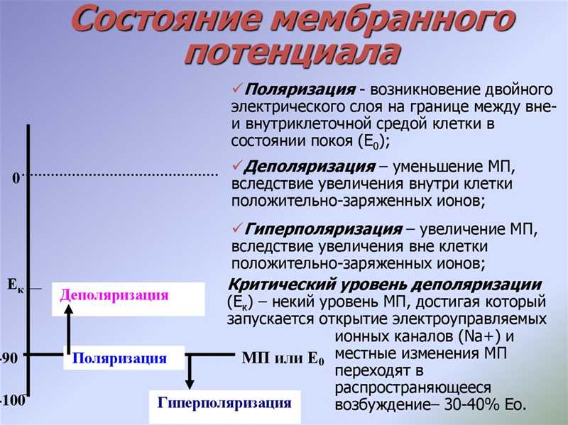 Тигры должны быть в клетках - почему поляризацию общества можно остановить только через контроль «гигантов»